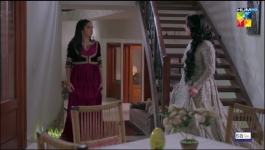 Woh Ziddi Si - Episode 17 - 2nd November 2024